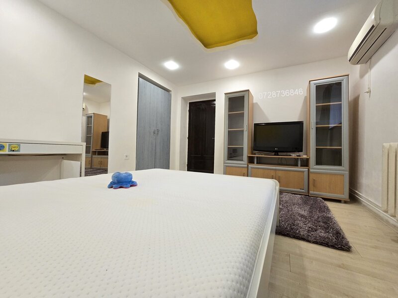 Calea Calarasilor, Plantelor, apartament in vila cu centrala si parcare